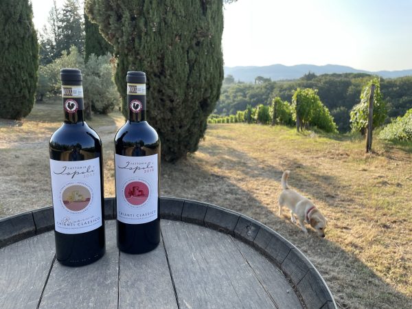 Fattoria Ispoli-Chianti Classico